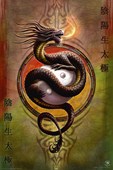 Yin Yang Protector Anne Stokes