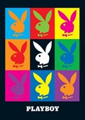 Pop Art Playboy Bunny Playboy Logo